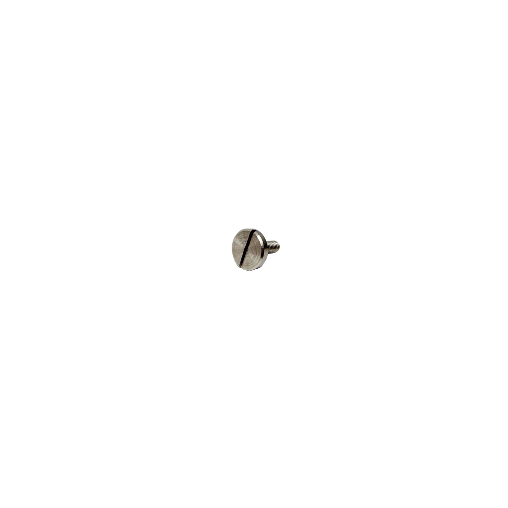 Ascaso Screw M4X12 DIN 921 (I.4682 / 01022230)