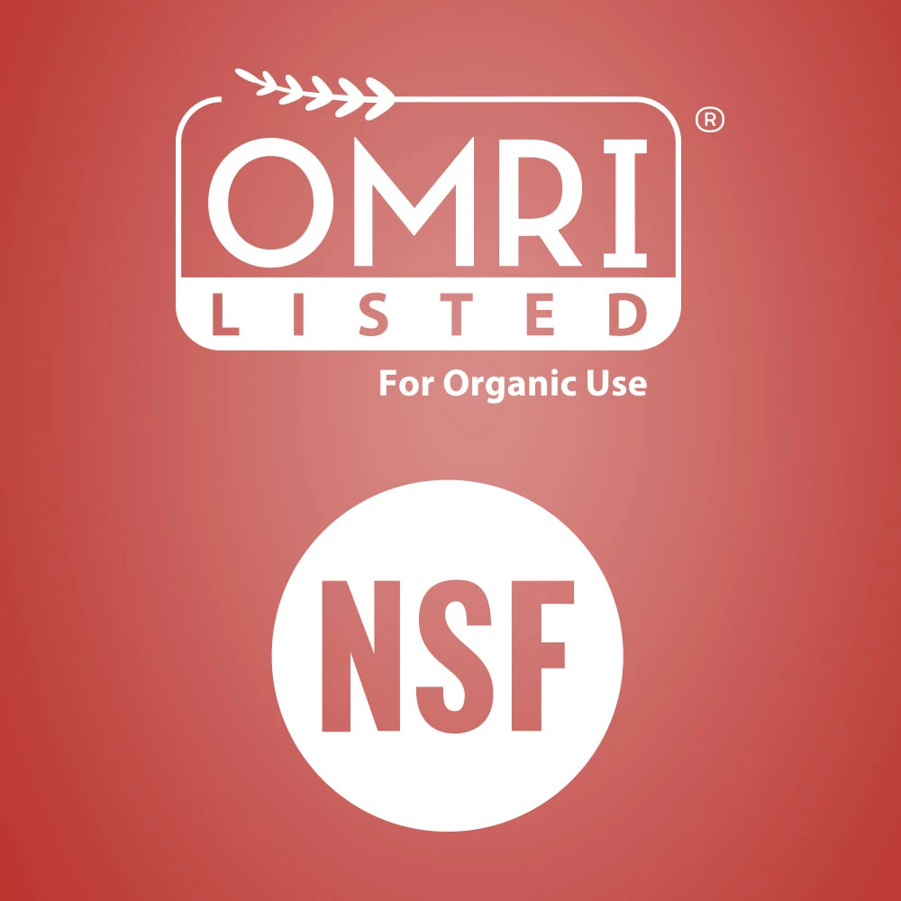 Cafiza Tablets (E31) - 100 Tablets